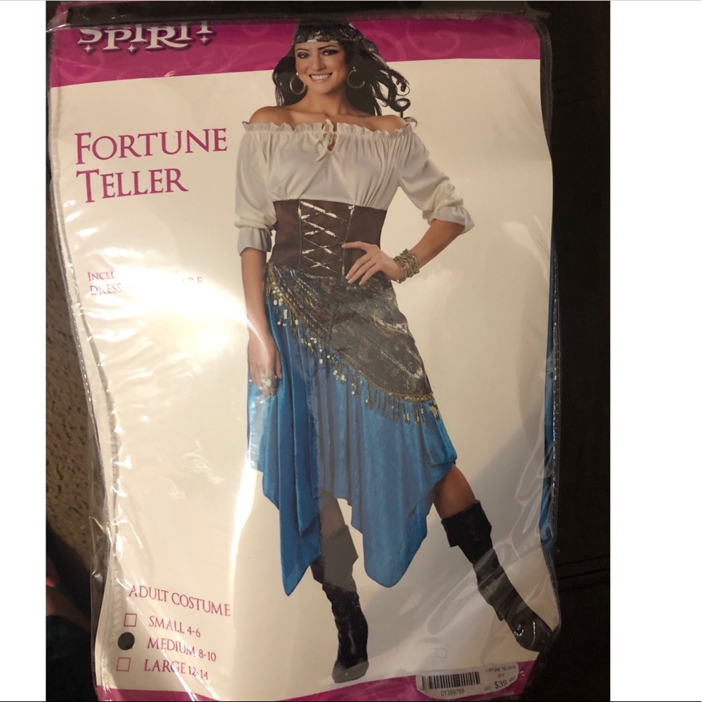 Fortune teller costume